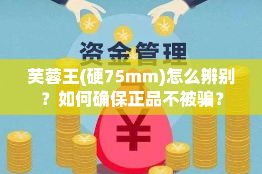 芙蓉王(硬75mm)怎么辨别？如何确保正品不被骗？